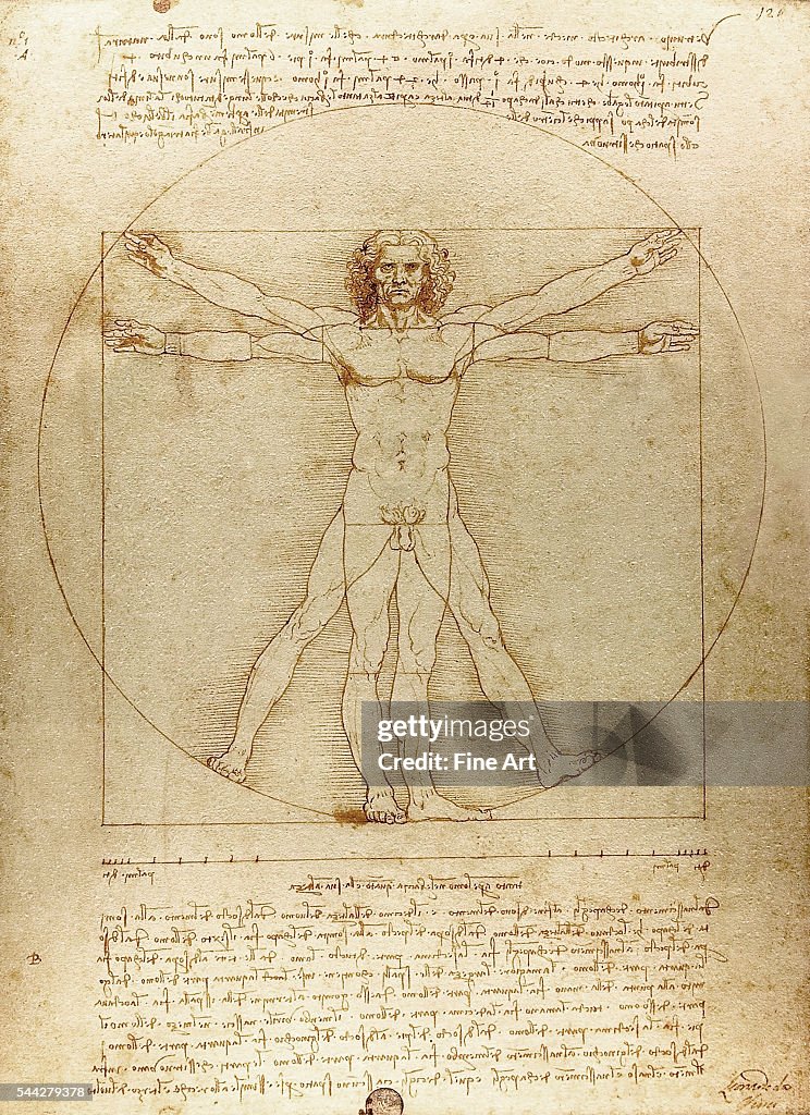 Vitruvian Man (Canon of Proportions) by Leonardo da Vinci