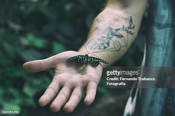 butterfly perched on a man's arm tattooed - butterfly tattoos stock pictures, royalty-free photos & images