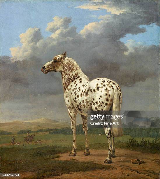 Paulus Potter [Dutch, 1625-1654], The "Piebald" Horse, c. 1650-54, oil on canvas, 50.2 x 45.1 cm , The J. Paul Getty Museum, Los Angeles.