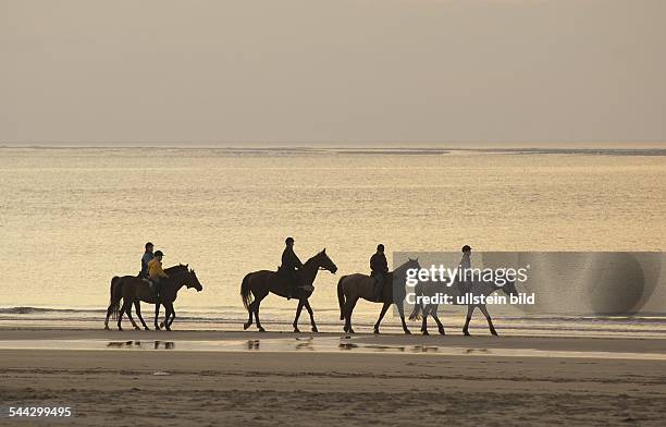 Niederlande, Reiter am Strand der Nordsee bei Renesse am Abend