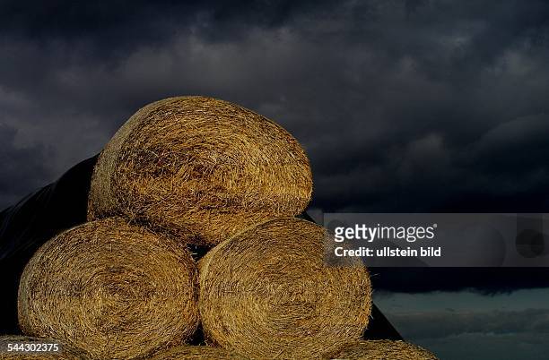 Landwirtschaft, Strohballen vor Gewitterwolken