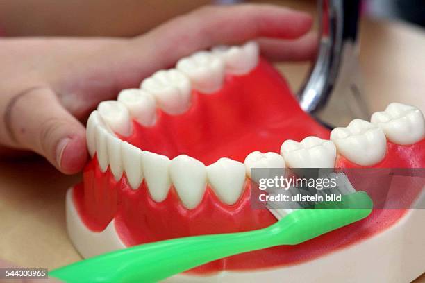 Deutschland: Zahnärztliche Prophylaxe für Kinder. - An einem Zahnmodell lernen Kinder die richtige Pflege der Zähne und des Zahnfleisches mit einer...