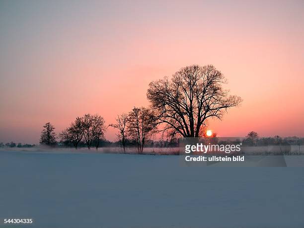 Deutschland, Bayern, Vilsheim, Landschaft im Winter