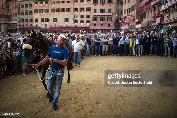 Handler leads his horse from the piazza as his Contrada and jockey follow behind after a trial race of the historical Italian horse race of the Palio...