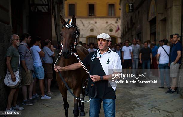 Handler guides his horse into the Piazza as his Contrada follow behind ahead of a trial race of the historical Italian horse race of the Palio Di...