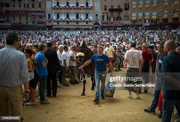 Handler leads his horse into the Piazza ahead of a trial race of the historical Italian horse race of the Palio Di Siena on July 01, 2016 in Siena,...