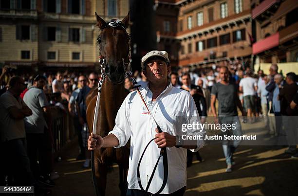 Handler guides his horse into the Piazza as his Contrada follow behind ahead of a trial race of the historical Italian horse race of the Palio Di...