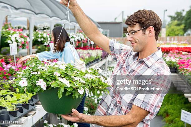 handsome man examines pretty hanging basket - periwinkle stock pictures, royalty-free photos & images