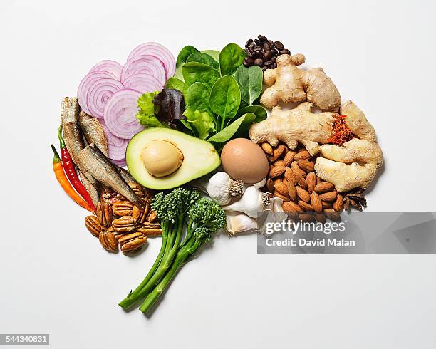 brain food resembling a brain.\ - broccoli white background stock-fotos und bilder