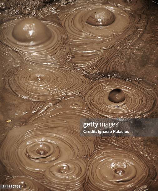 mud pool detail in rotorua geotermical area - schlammbad stock-fotos und bilder