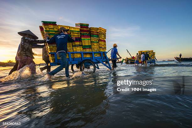 transportating fish - pacific ocean stock pictures, royalty-free photos & images