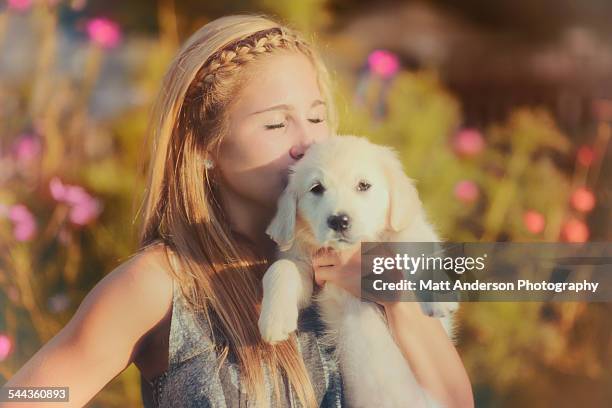 girl with a puppy - tcs stock pictures, royalty-free photos & images