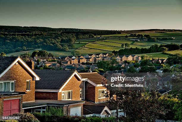 the green belt begins - silentfoto sheffield 個照片及圖片檔