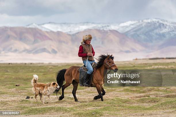 kazakh nomad riding horse with his dog - steppeklimaat stockfoto's en -beelden