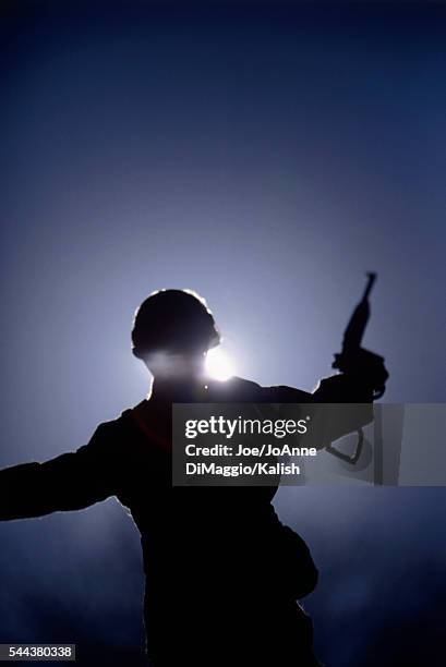 Soldier Silhouetted by Sun