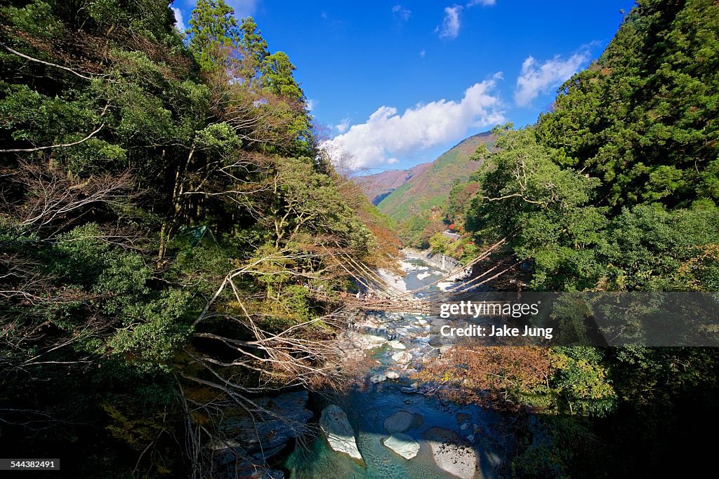 Wide view of West Iya Valley Kazurabashi Bridge