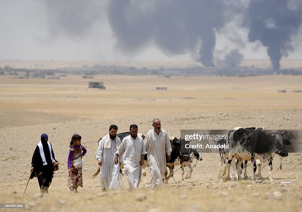 Mosul rescue operation from Daesh