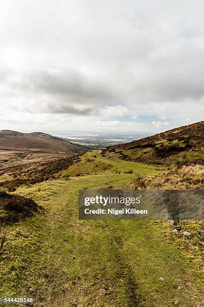 cooley mountains, louth, ireland - cooley mountains stock pictures, royalty-free photos & images