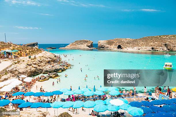 blue lagoon, comino - malta - malta stock pictures, royalty-free photos & images
