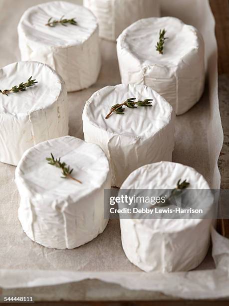 goats cheese rounds with thyme on top - goat's cheese stock pictures, royalty-free photos & images