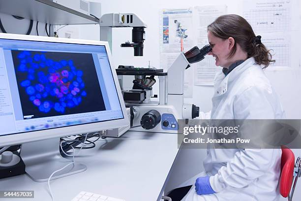 cancer research laboratory, female scientist studying cells under electronic microscope - person screened for cancer stock pictures, royalty-free photos & images