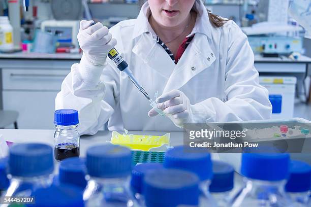cancer research laboratory, scientist working with cells kept in ice after storage in sub zero temperatures in a liquid nitrogen cryopreservation chamber - laboratory equipment stock pictures, royalty-free photos & images