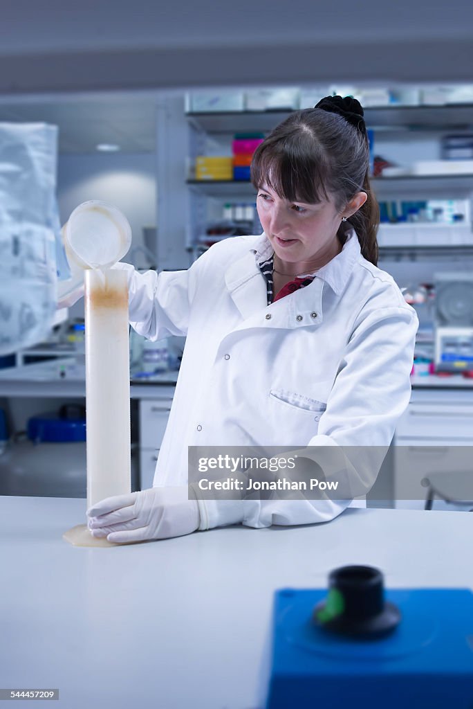 Cancer research laboratory, female scientist at work