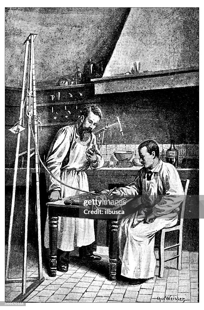 Antique illustration of veterinary surgery experiment on rabbit