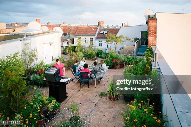 barbecue, roof garden, medium group of people, summer, party, - rooftop deck stock pictures, royalty-free photos & images