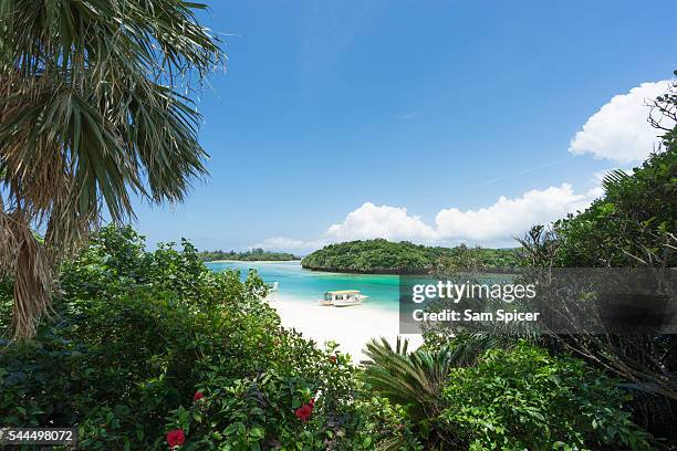 tropical lagoon beach with clear blue water and white sand surrounded by lush greenery and flowers - prefectura de okinawa fotografías e imágenes de stock