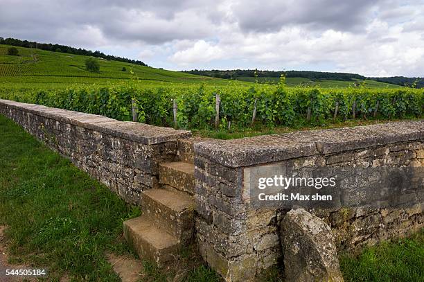 Romanee 43 Romanee Conti Stock Photos, High-Res Pictures, and Images - Getty Images