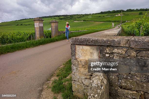 Romanee 43 Romanee Conti Stock Photos, High-Res Pictures, and Images - Getty Images