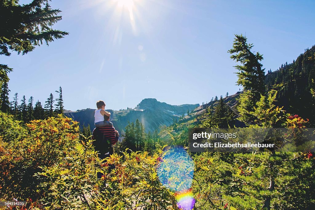 Young boy (2-3) sitting on father's shoulders looking at mountain
