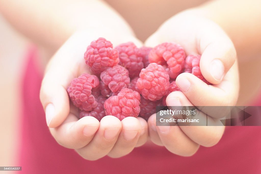 Girl holding raspberries in cupped hands