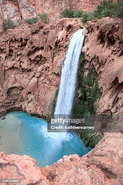 mooney falls, havasu creek, arizona, america, usa - mooney falls stock pictures, royalty-free photos & images