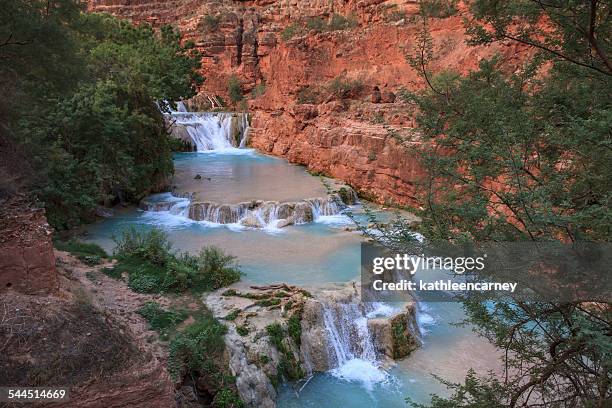 infinity pools and waterfalls, havasu creek, arizona, america, usa - mooney falls stock pictures, royalty-free photos & images