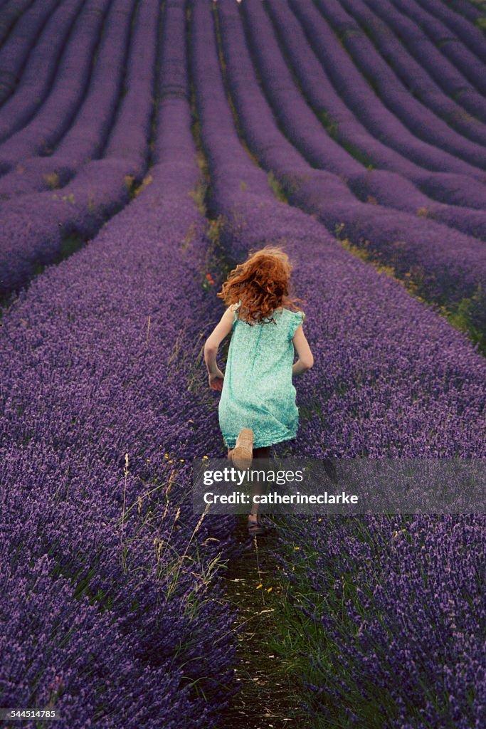 Back view of girl (6-7) running through lavender field