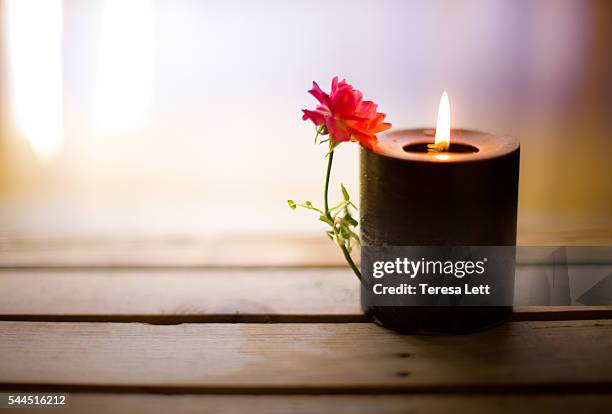 candle burning with a rose - burning rose stock pictures, royalty-free photos & images