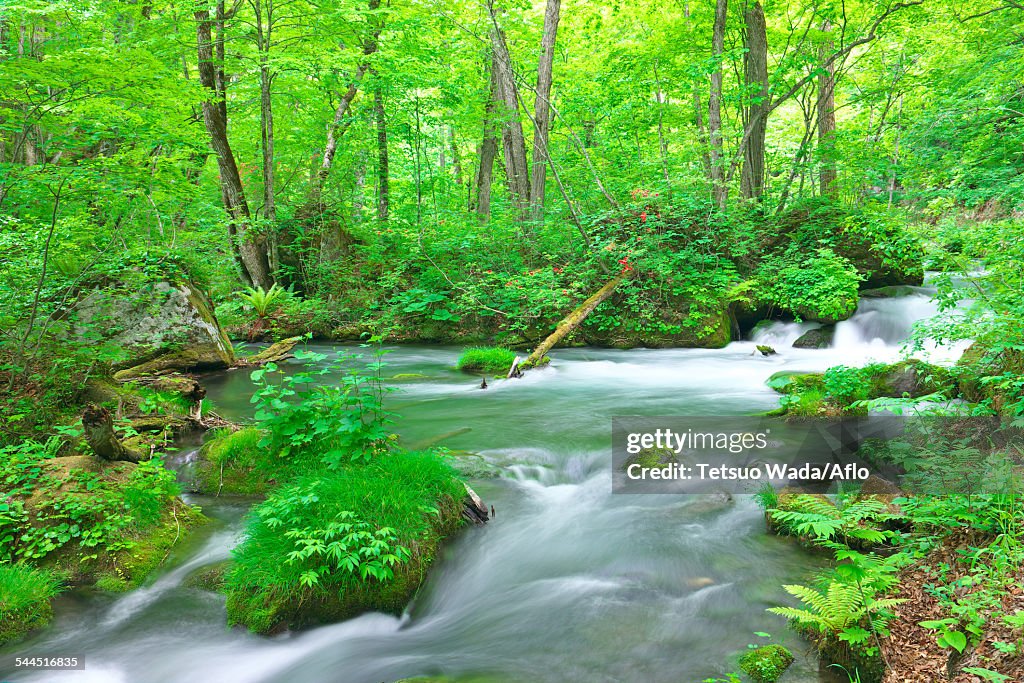 Water Stream