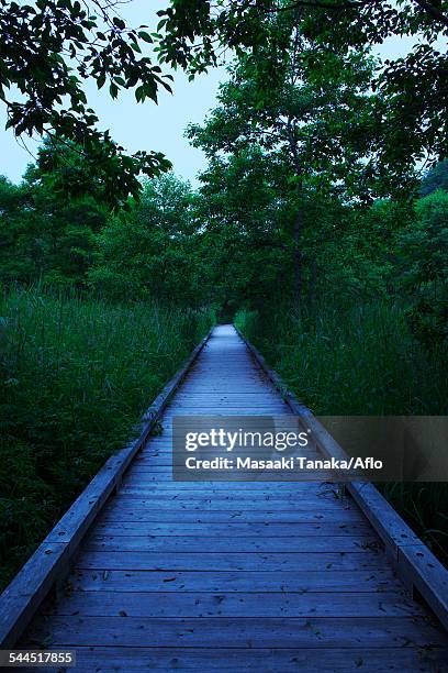 hokkaido, japan - kushiro stock pictures, royalty-free photos & images