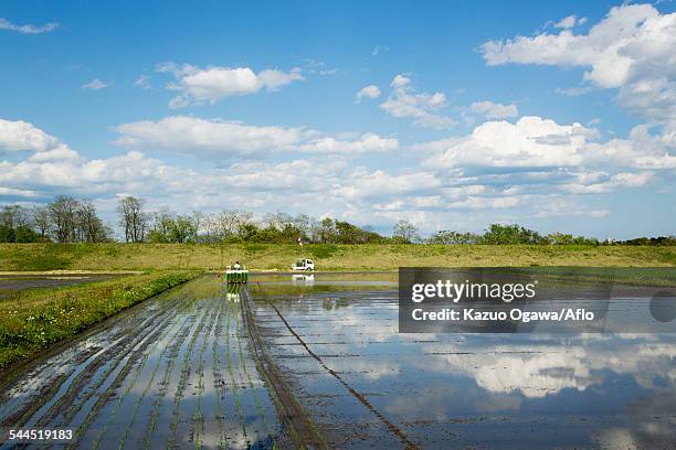 tochigi prefecture, japan - präfektur tochigi stock-fotos und bilder