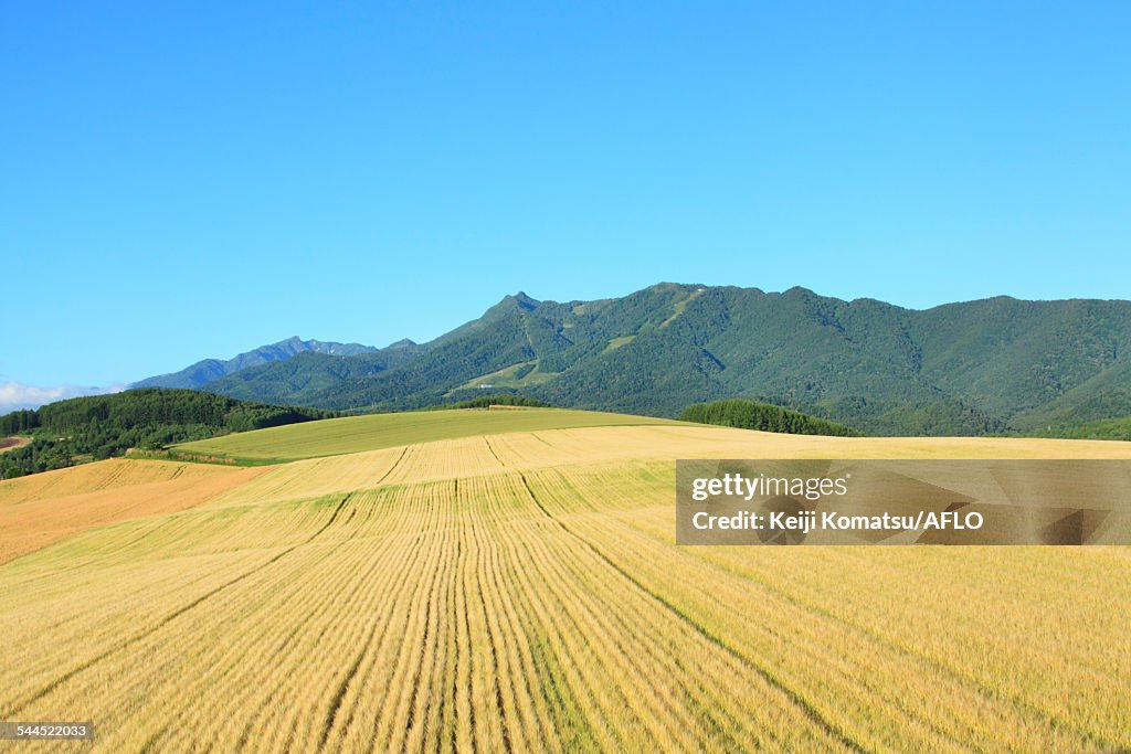 Hokkaido, Japan