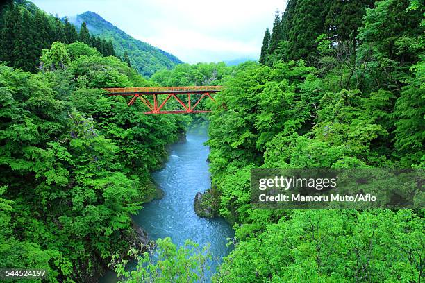 yamagata prefecture, japan - yamagata stock-fotos und bilder