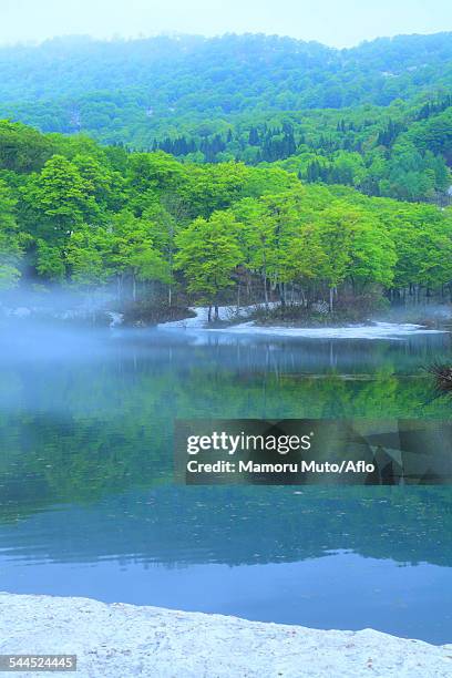 yamagata prefecture, japan - prefectura yamagata fotografías e imágenes de stock