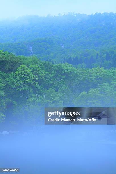 yamagata prefecture, japan - yamagata prefecture stock pictures, royalty-free photos & images