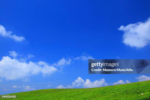 nagano prefecture, japan - kochi japan stock pictures, royalty-free photos & images