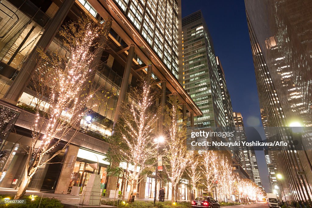 View of Tokyo, Japan