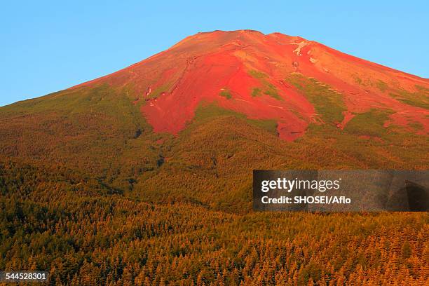 fuji-hakone-izu national park, yamanashi prefecture, japan - fuji hakone izu national park stock-fotos und bilder