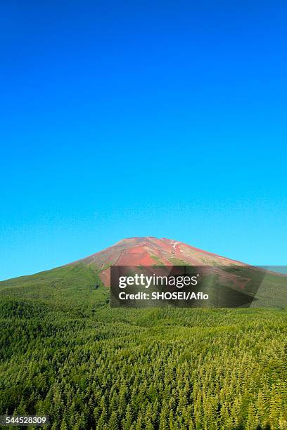 fuji-hakone-izu national park, yamanashi prefecture, japan - fuji hakone izu national park stock-fotos und bilder