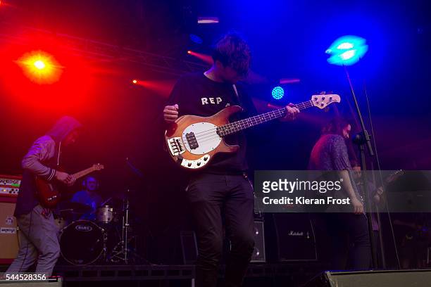 Joe Panama and Lia Wright of Overhead, The Albatross performs at CastlePalooza at Charville Castle on July 2, 2016 in Tullamore, Ireland.